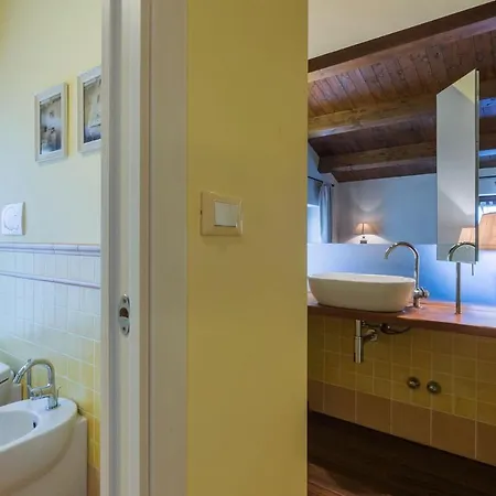 Il Fiore E La Farfalla