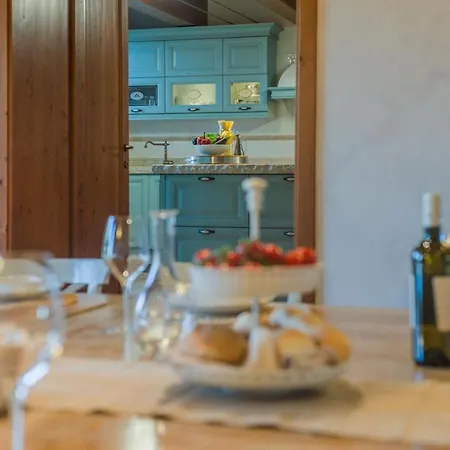 Il Fiore E La Farfalla *