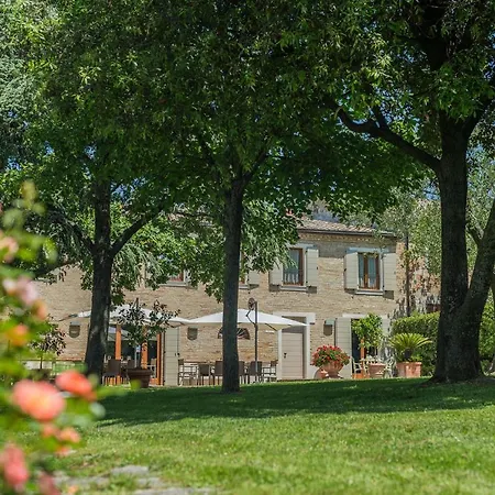 Il Fiore E La Farfalla Pesaro