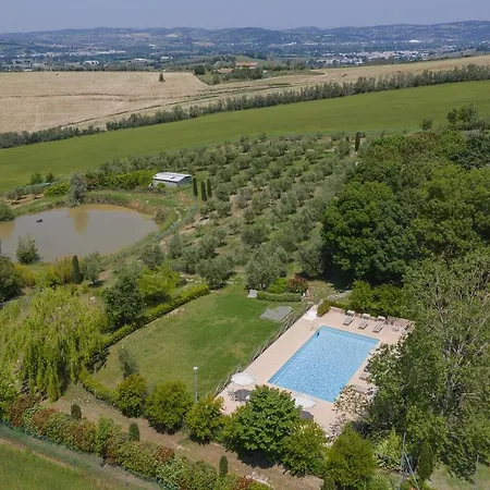 Il Fiore E La Farfalla *