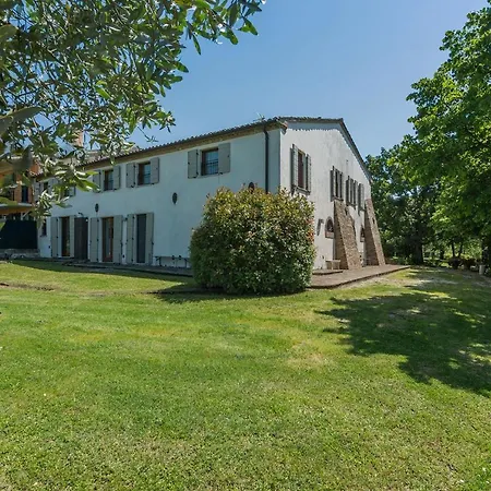 Il Fiore E La Farfalla 14 * Pesaro