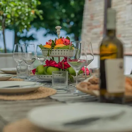 Il Fiore E La Farfalla 佩萨罗