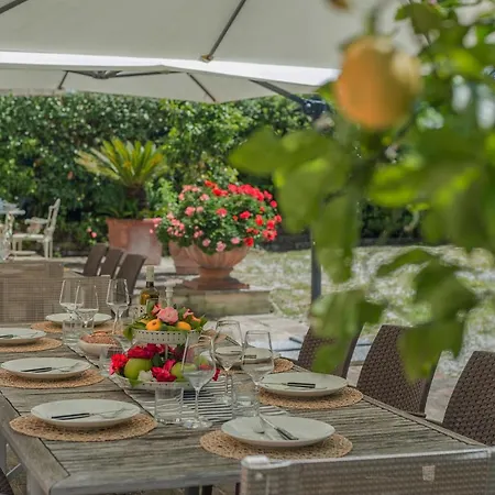 Il Fiore E La Farfalla Pesaro