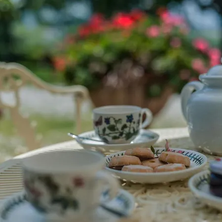 Il Fiore E La Farfalla * 佩萨罗