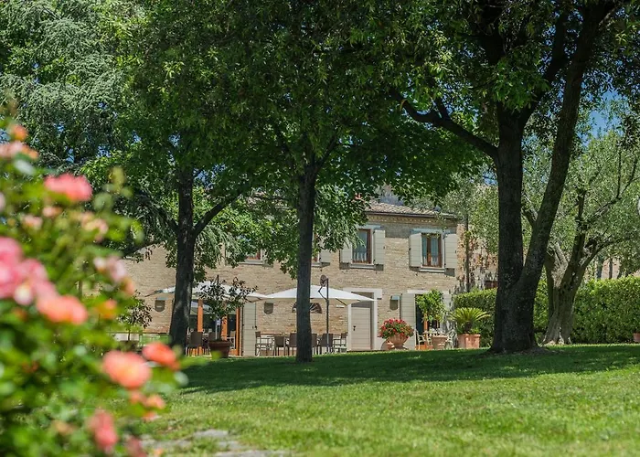 Il Fiore E La Farfalla Pesaro