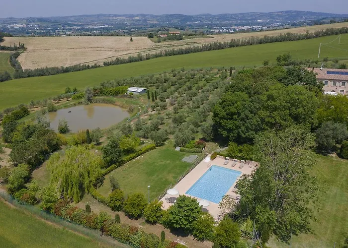 Il Fiore E La Farfalla *