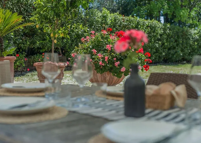 فيلة Il Fiore E La Farfalla *