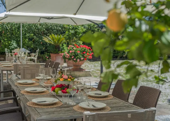 Il Fiore E La Farfalla بيزارو