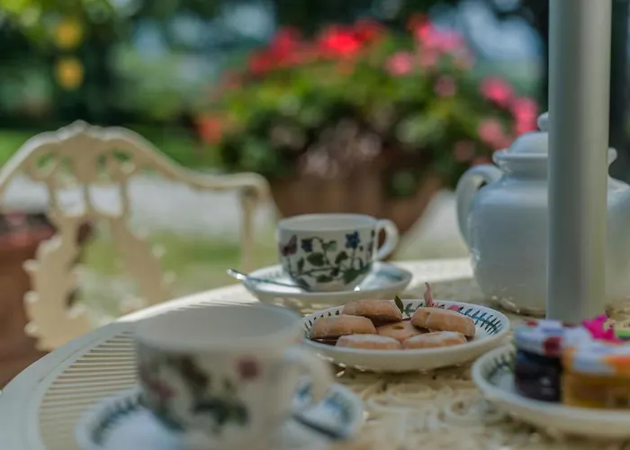 Il Fiore E La Farfalla * Pesaro